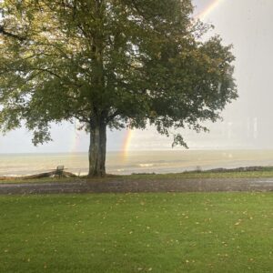 Meditation and Psychic-Tarot Message Circle Friday, 5/2/2025, 7:15 PM